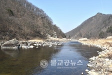 [포토] 월류봉(月留峰)의 봄 소식