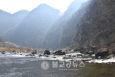 [포토] 월류봉(月留峰)의 봄 소식