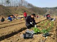 세종시, 주말농장 분양