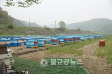 꿀벌과 사람의 달콤한 동행체험해 보세요!