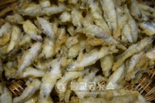 [포토특집] 충북 옥천군 청산면 둘러보기