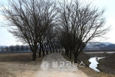 [포토특집] 충북 옥천군 청산면 둘러보기
