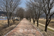 [포토특집] 충북 옥천군 청산면 둘러보기