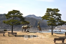 추풍령사슴관광농원, 꿈은 이루어진다!