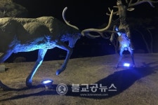 추풍령사슴관광농원, 꿈은 이루어진다!