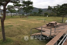 추풍령사슴관광농원, 꿈은 이루어진다!