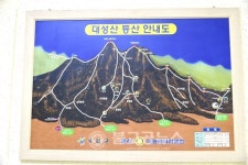 [영상]옥천묘목축제, 그리운 봄길! 설레임 한 그루