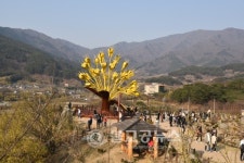 제18회 구례산수유꽃축제 팡파르~