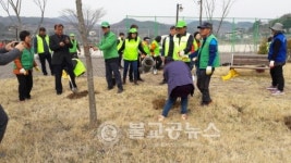 양보생활체육공원 나무심기 행사