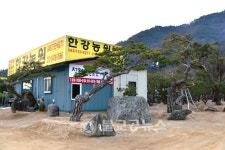 [영상뉴스] 제18회 옥천묘목축제 스케치