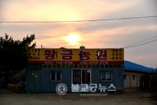 금동이용원 | [영상뉴스] 제18회 옥천묘목축제 스케치