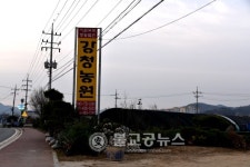 [영상뉴스] 제18회 옥천묘목축제 스케치