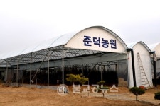 [영상뉴스] 제18회 옥천묘목축제 스케치