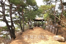 옥천 장자마을팬션..숲 속의 아늑한 휴식처