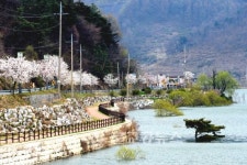 상쾌한 봄나들이 증평으로 오세요