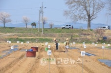 청주시, 도시민 텃밭농원 봄철 개장