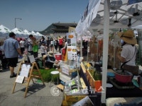 꽃차 맛보러 농부의 시장봄나들이 오세요