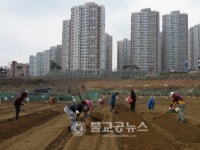 청주시, 도시민 텃밭농원 봄철 개장!