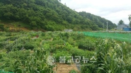 세종시, 주말농장 참여주민 영농교육