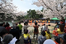 [포토뉴스]설악벚꽃축제 2017