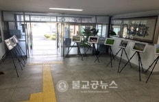 안동도서관 풍산분관, 도서관주간 행사 풍성