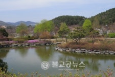 복사꽃 활짝 핀 금강수목원