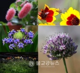 충북농기원 사진동우회 농담 창립전