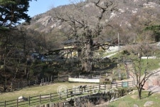 [포토뉴스] 아름다운 절... 천태산 영국사