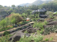 옥천의 숨은 진주 수생식물학습원 감탄