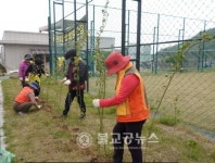 담양 월산물구십리권역에 천 그루의 나무 식재