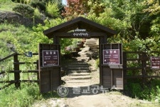 [영상] 옥천 군북면,  수생식물학습원 감상하기