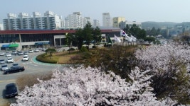 논산시, 지방규제개혁 우수기관 선정, 도내유일