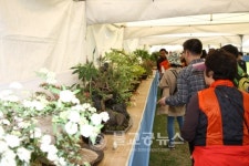속리산들꽃사랑회 야생화 전시회