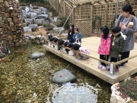 서울 도심 산천어와 함께 가족 나들이~