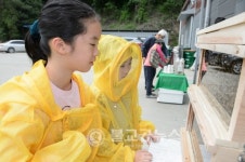 세종시, 시민 체험양봉장 개장