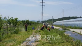 담양 월산면, 싱그러운 5월을 가꾸다
