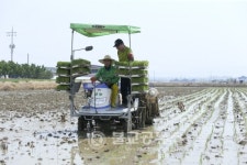 천안시, 농촌현장에서 농민들과 모내기 소통