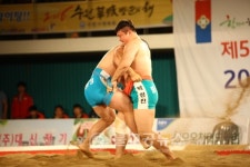 2017 보은단오장사씨름대회 열려