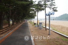 천연기념물 하동송림 숲속 운동기구 이설