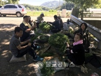 옥천군북면사무소 직원들 농촌 일손 돕기