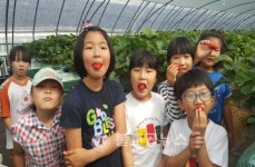 군서초, 지역체험처 활용 딸기체험