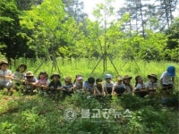원수산과 오봉산 숲에서 놀고 체험하자