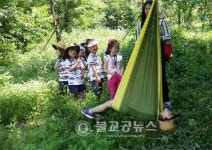 원수산과 오봉산 숲에서 놀고 체험하자