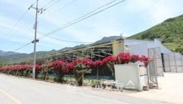 괴산군 조령농장, 아름다운 축사 롤 모델 선정