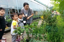 충북유아교육진흥원, 특별체험 프로그램 인기