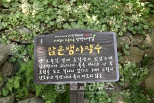 괴산군 산막이 옛길, 인산인해(人山人海)