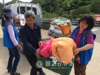 횡성군 청일면 이동세탁차량 자원봉사 활동