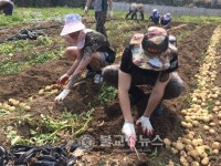 하동 금남면농촌지도자회, 햇감자 70상자 기부