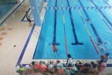 대전서부교육청, 수영실기교육 현장 점검 실시