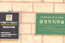 영동군, 금강모치마을 블루베리축제